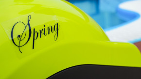 Poolroboter Dolphin Spring
